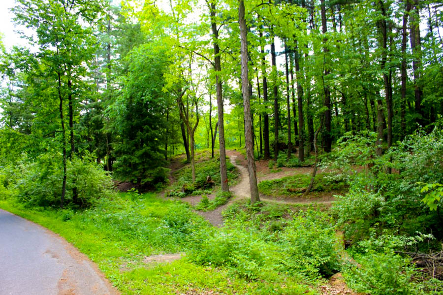 Findley State Park Disc Golf Course