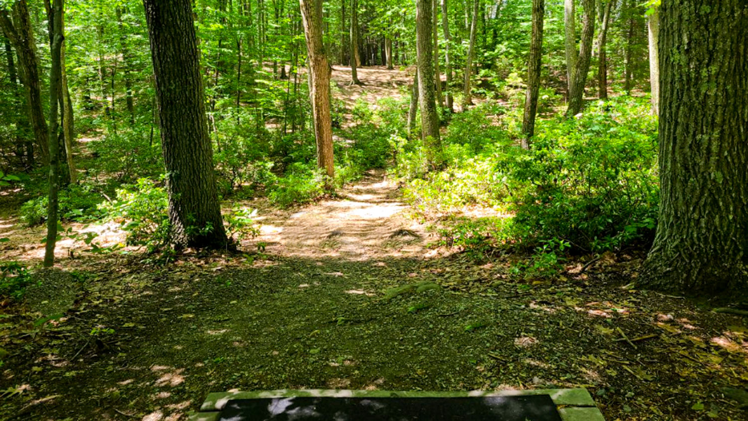A photo of Maple Hill disc golf course